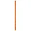 Petzl PARALLEL Rope 10.5mm 50m Orange